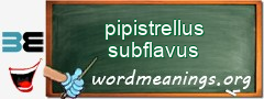 WordMeaning blackboard for pipistrellus subflavus